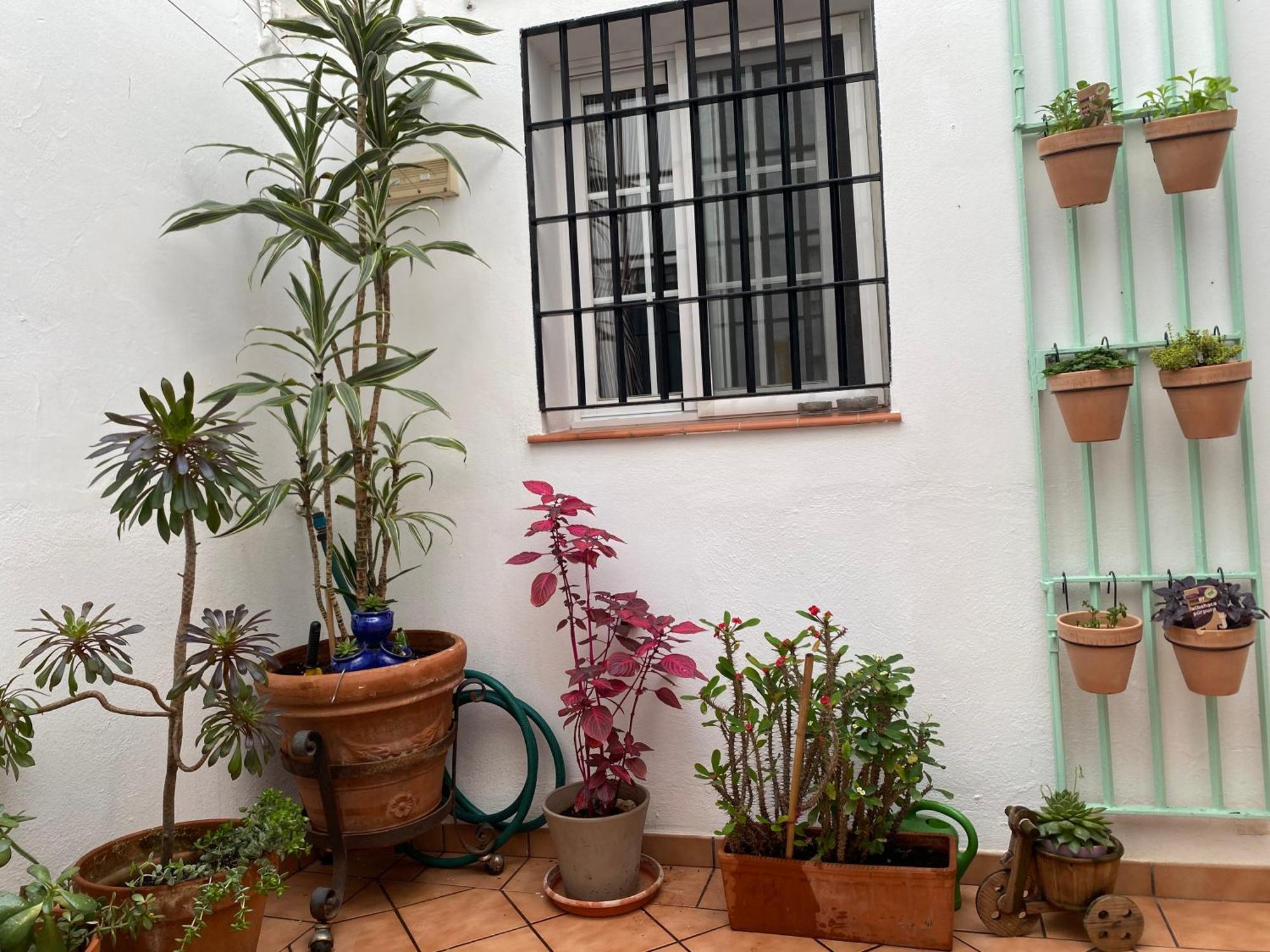 Enmitatiko Alcazar Viejo Apartment Кордоба Екстериор снимка